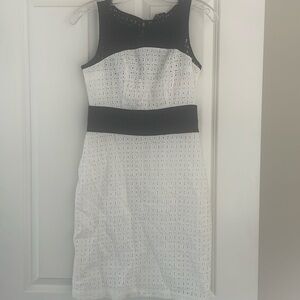 The Limited Navy and White Eyelet Dress